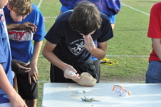Enlarge photo 540