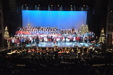 Enlarge photo 157