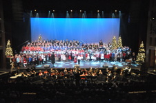 Enlarge photo 161