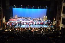 Enlarge photo 175