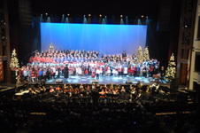 Enlarge photo 177