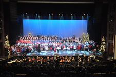 Enlarge photo 216
