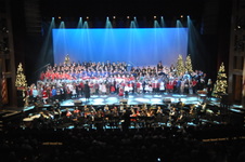 Enlarge photo 228