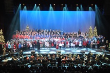 Enlarge photo 230
