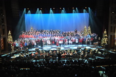 Enlarge photo 231