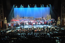 Enlarge photo 232