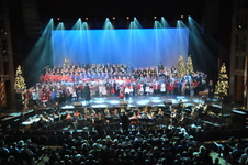 Enlarge photo 233