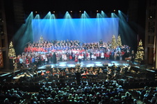 Enlarge photo 237