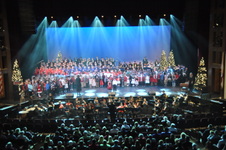 Enlarge photo 238