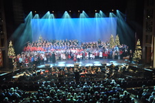Enlarge photo 239