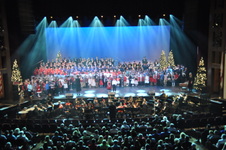 Enlarge photo 240