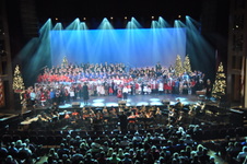 Enlarge photo 241