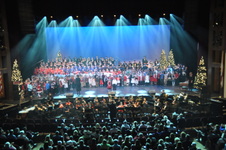 Enlarge photo 242