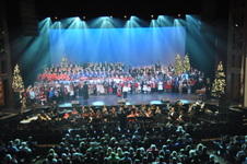Enlarge photo 247