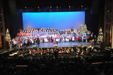 Enlarge photo 254