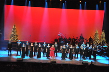 Enlarge photo 279