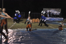 Enlarge photo 204