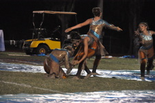 Enlarge photo 432