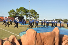Enlarge photo 146
