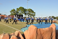 Enlarge photo 148