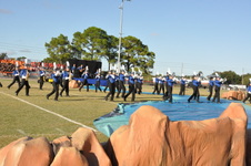 Enlarge photo 150