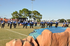 Enlarge photo 154