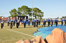 Enlarge photo 160