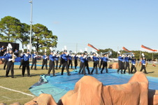 Enlarge photo 166