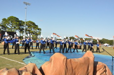 Enlarge photo 172