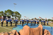 Enlarge photo 176