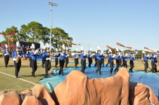 Enlarge photo 182