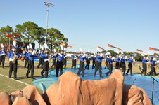 Enlarge photo 184