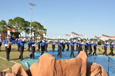 Enlarge photo 186