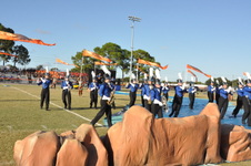 Enlarge photo 194