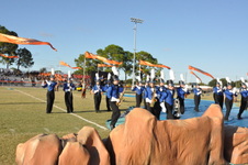 Enlarge photo 196