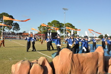 Enlarge photo 198