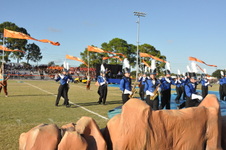 Enlarge photo 200