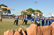 Enlarge photo 202