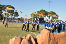 Enlarge photo 204