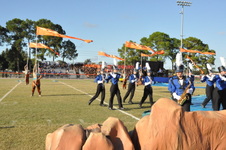 Enlarge photo 206