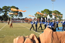 Enlarge photo 208
