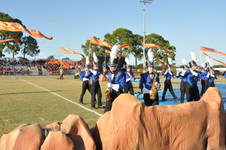 Enlarge photo 210