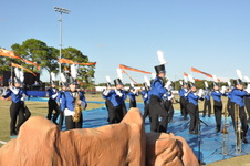 Enlarge photo 214