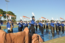 Enlarge photo 216