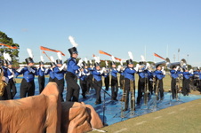 Enlarge photo 218