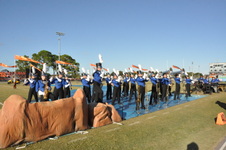 Enlarge photo 224
