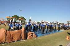 Enlarge photo 230