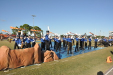 Enlarge photo 234