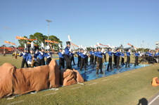 Enlarge photo 236