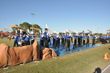 Enlarge photo 238